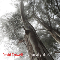 David Crowell: Kaleidoscope