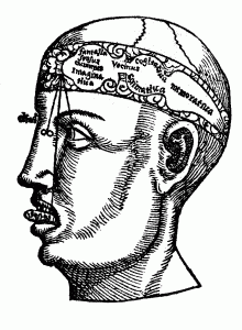 1503 diagram of the brain