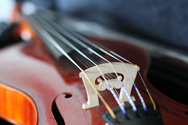 Trueman's 5-string Hardanger-inspired "5x5 fiddle," built by Salve Håkedal