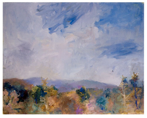 Mary Page Evans's Big Amherst Sky