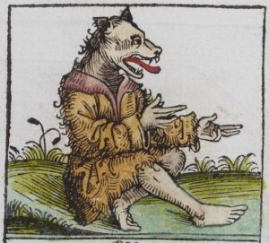 A cynocephalus, from the Nuremberg Chronicle (1493).