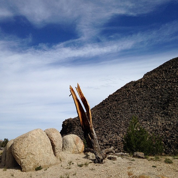 The intersection of seemingly divergent types of rock in Toiyabe is wild.