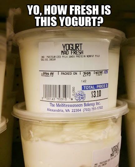 fresh yogurt