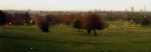 A wide angle photo of Primrose Hill showing an open field with trees and lights in the background and city buildings in the distance.