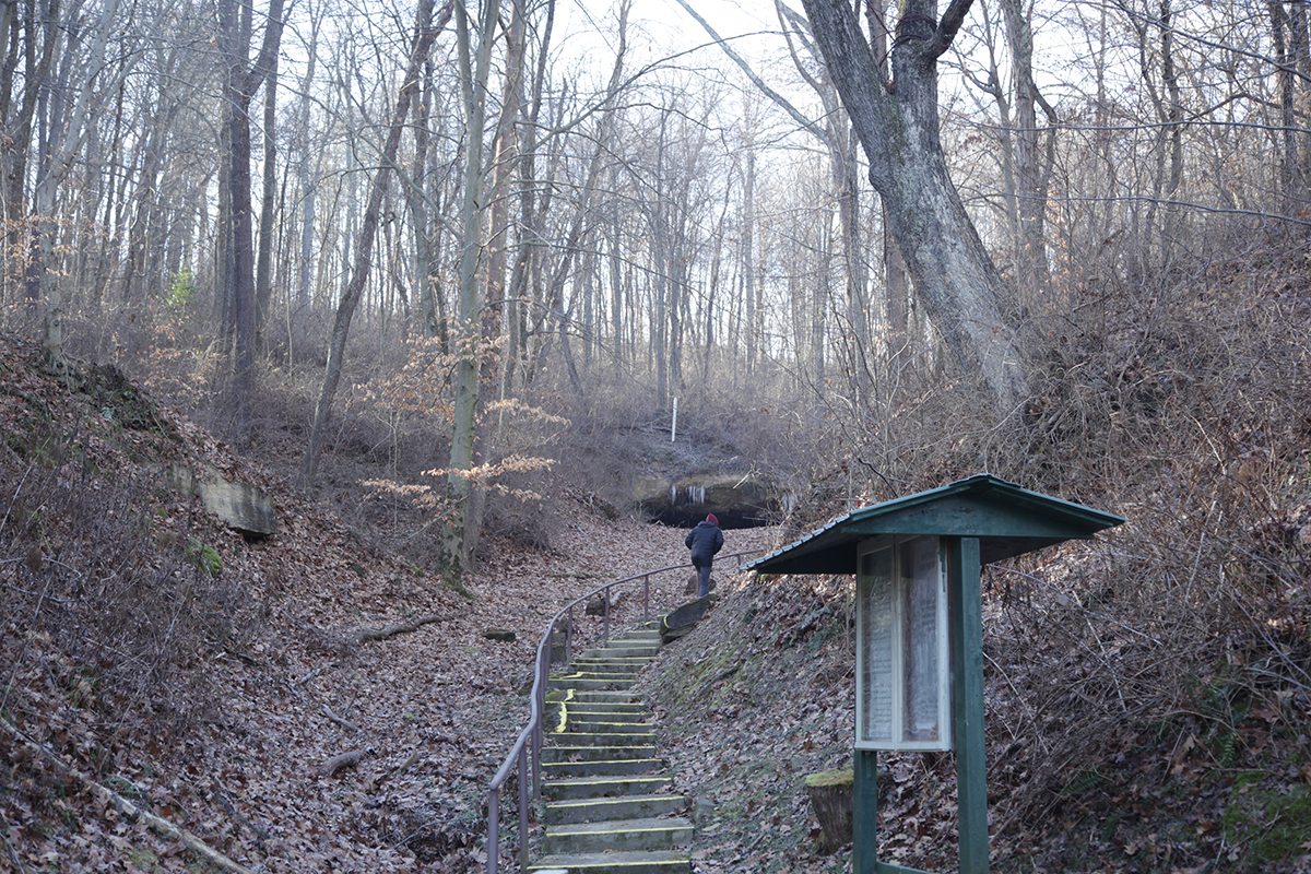 Stairs leading to Robinson's Cave