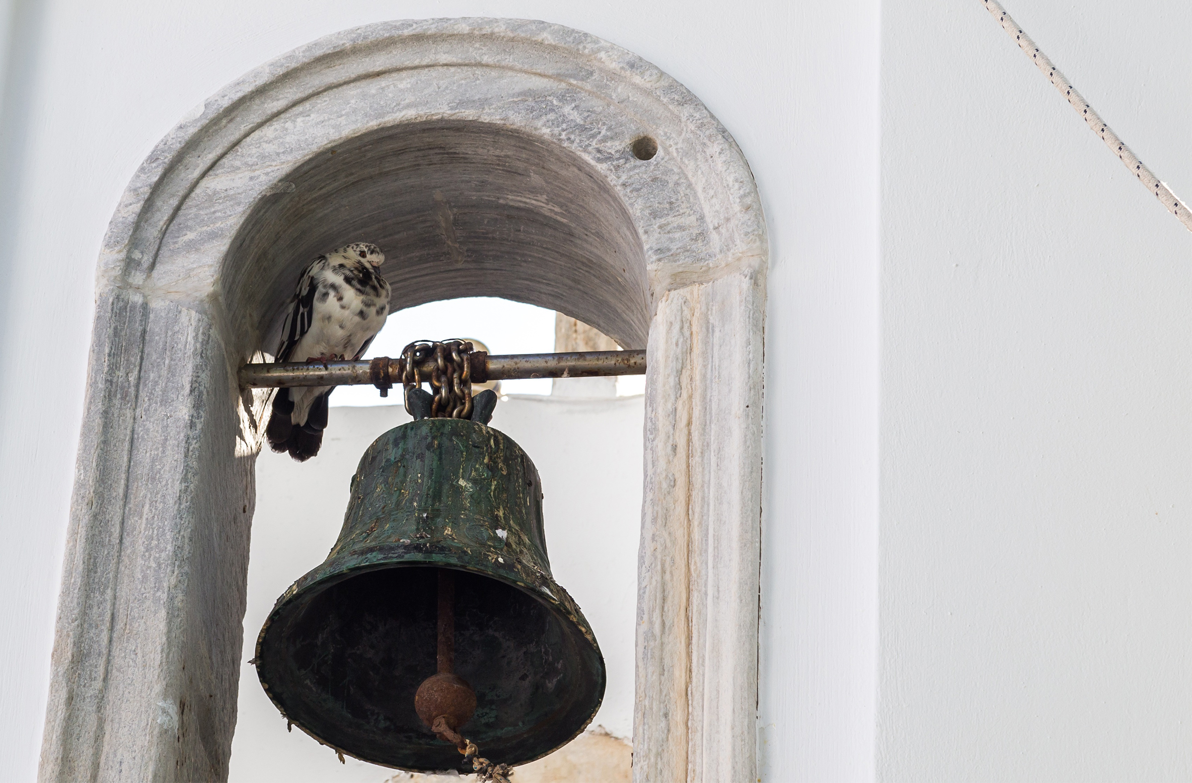 bird on a bell