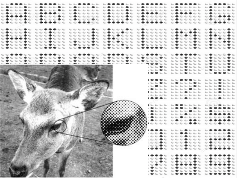 A Low resolution dot-matrix image showing very pixellated letters as well as a very pixellated photo close-up of an eye of an animal