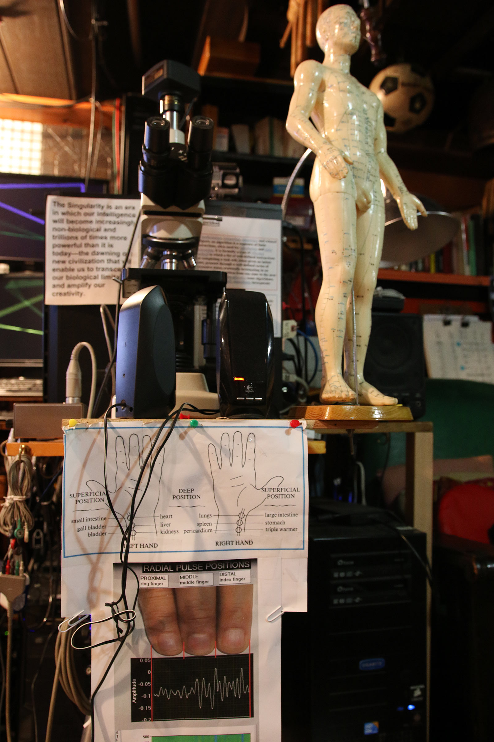 In one area in Graves's studio there is a diagram of hands, a photo of fingers, and an anatomical model of a human body.