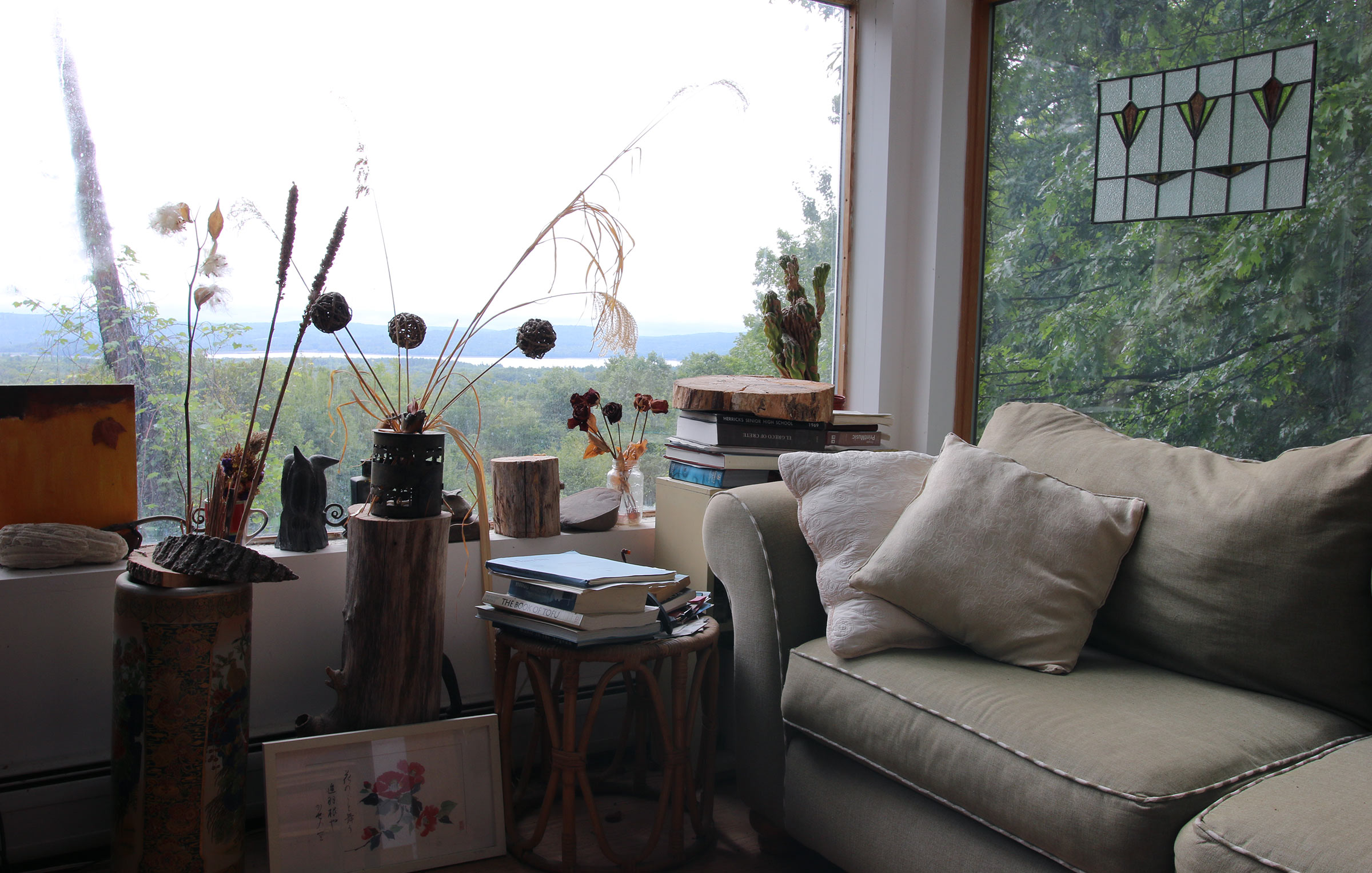 The view from the interior of George Tsontakis's home