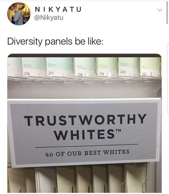 A screenshot of an Instagram image from @Nikyatu with the caption "Diversity panels be like:". The image shows a series of folders and in front of it is a label that reads "TRUSTWORTHY WHITEStm 40 of our best whites"