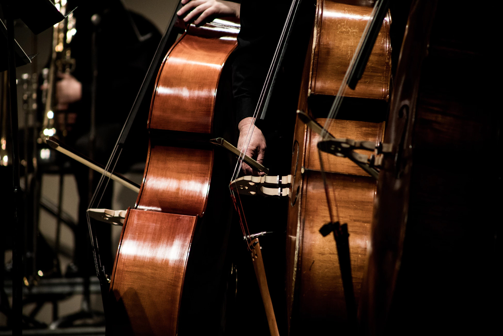 A close up photo of two doublebasses being played by Kael Bloom (from Unsplash)