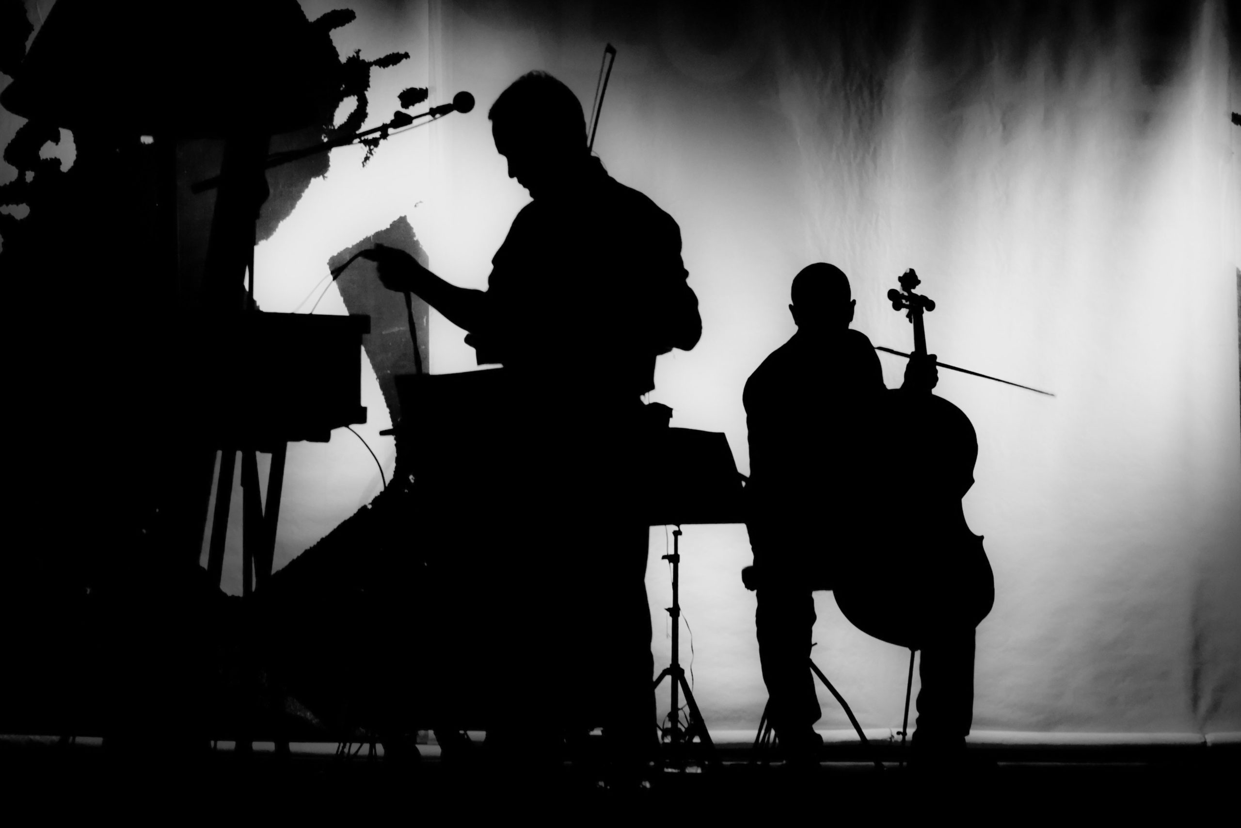 A shadow image of two performers, one cellist and one pianist