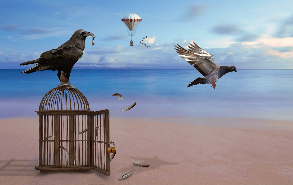 A raven with a key in its mouth sits atop an empty open birdcage on a shoreline from which a dove is seen flying away and a balloon is also visible in the distance.