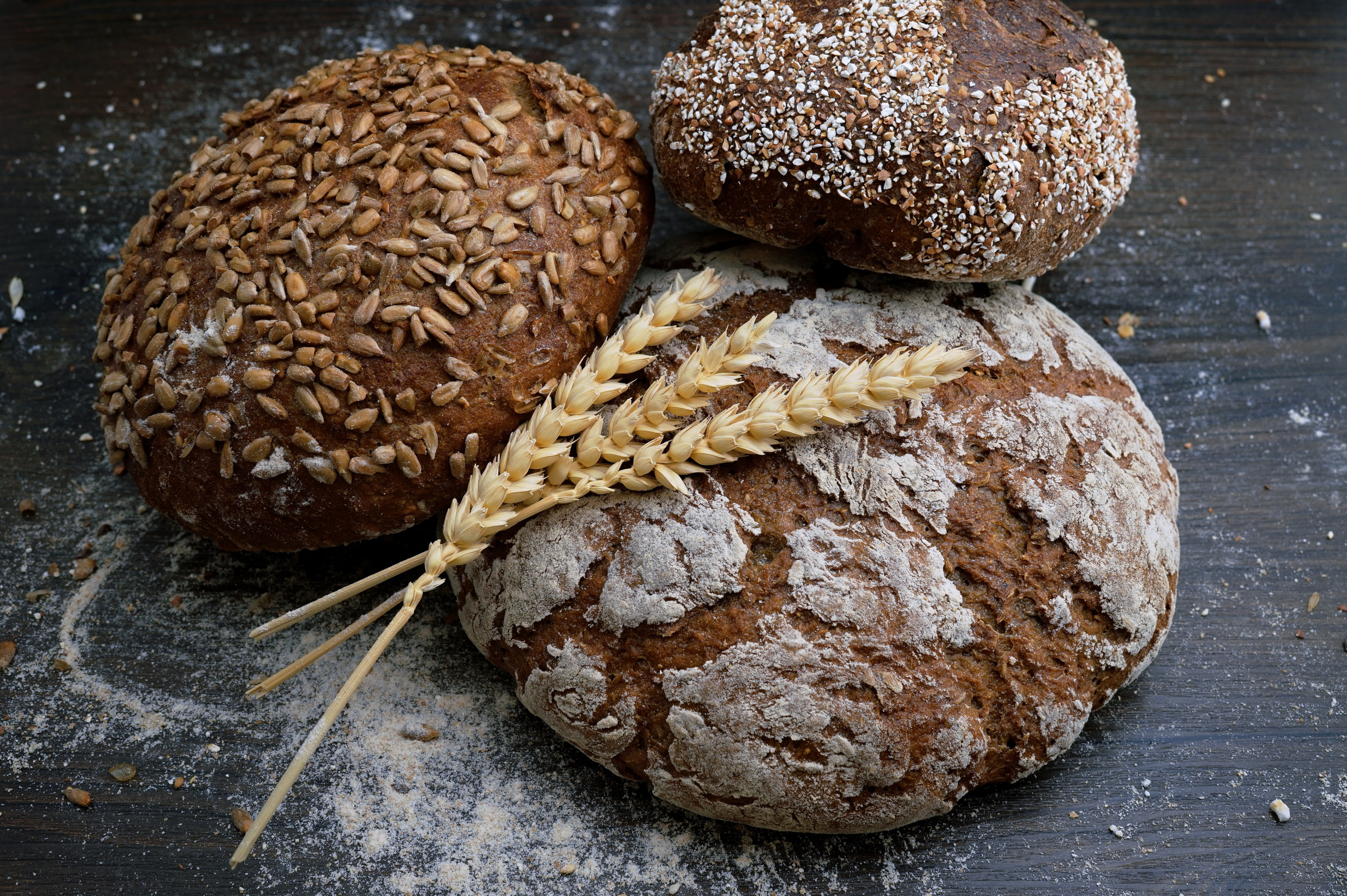 Three different loaves of grain bread from Franziskaner bakery in Bozen, Italy. 