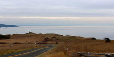 Road to the lighthouse
