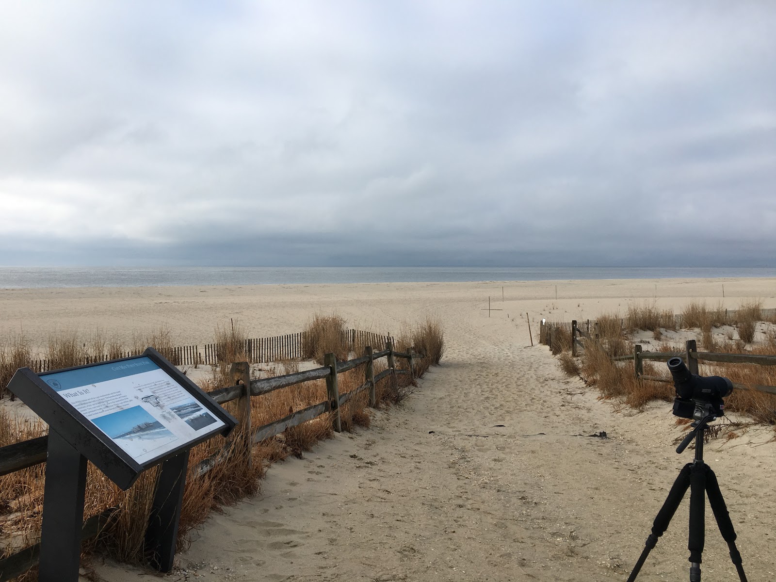 A landscape view of Cape May Point State Park showing a placard with a description of the area, an open field, and the sky.