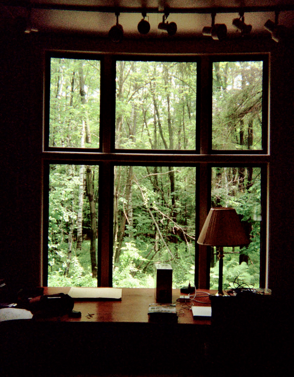 The view of the trees and foliage from the window of the cabin at The MacDowell Colony