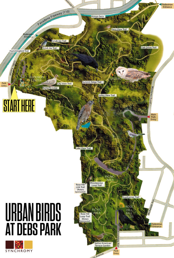 The map of the park used for the Urban Birds project showing where each bird is located.