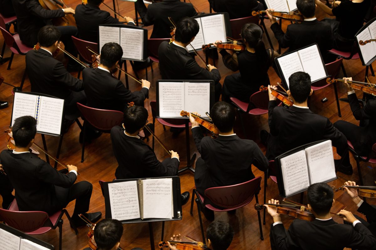 The members of an orchestra playing music together.