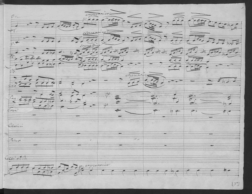 A page from the manuscript of Emilie Mayer's First Symphony