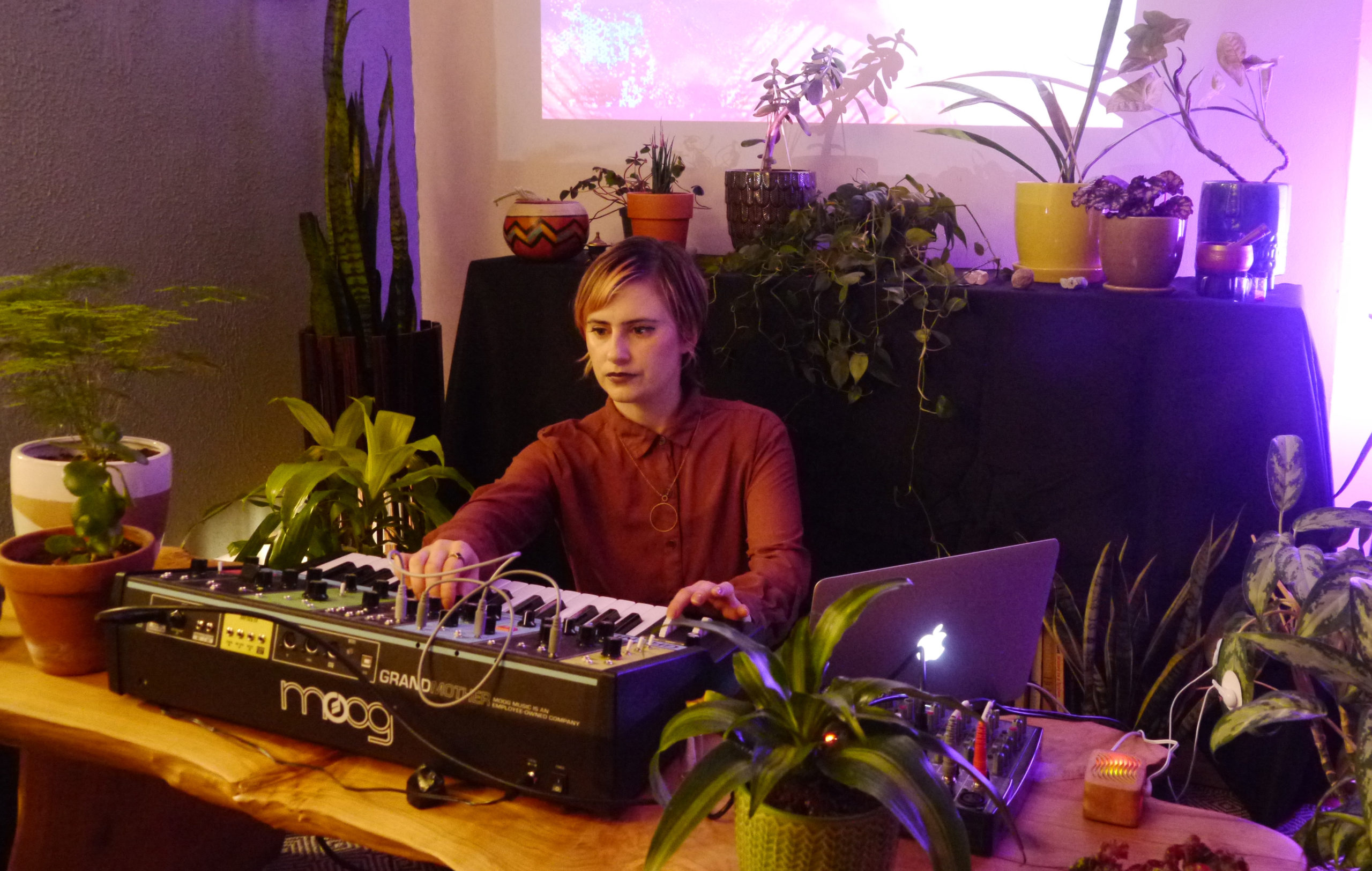 Amy Reid performing on a Moog synthesizer on a table with a Mac laptop and a bunch of plants.