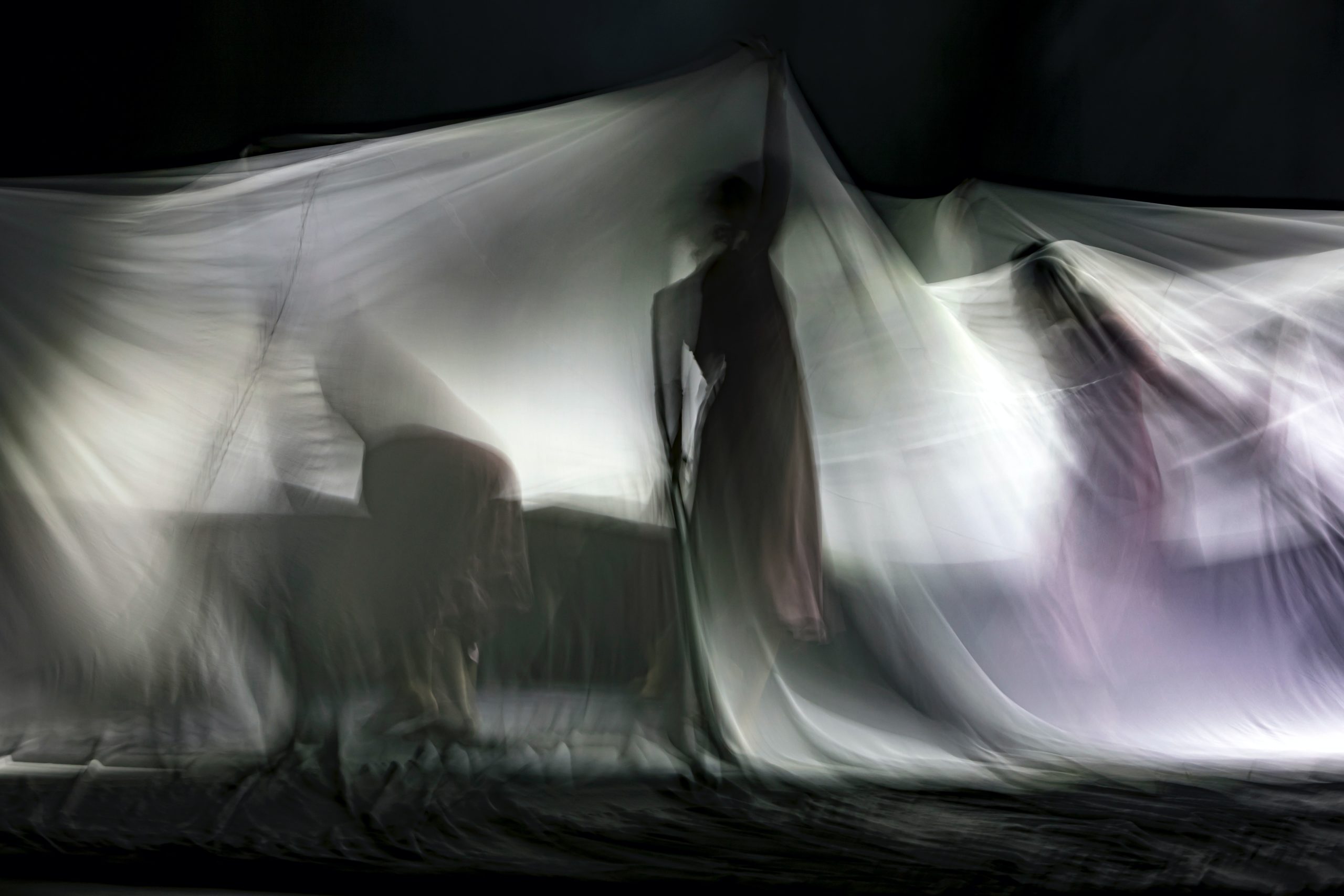 A group of women dancing underneath a veil (Photo by Hulki Okan Tabak on Unsplash)